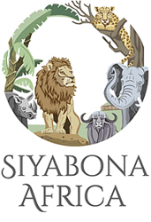 http://www.trainsafari.co.za